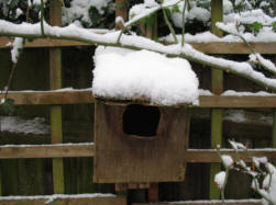 Pitmans Shorthand Christmas Carols: robin birdbox in snow