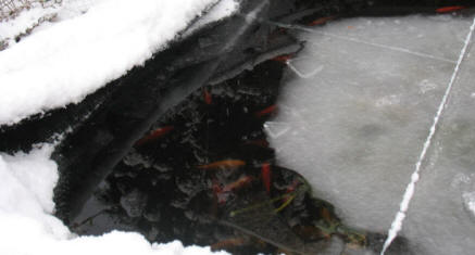 Pitmans Shorthand Christmas Carols: Fishpond under snow