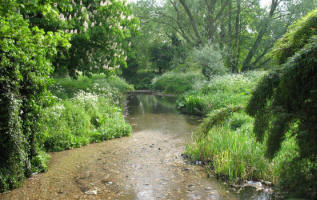 River Cray at Orpington,Kent