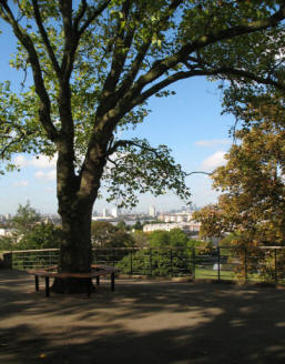 Greenwich Park - One Tree Hill viewing area