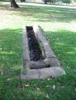 Greenwich Park - deer trough