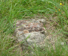 Greenwich Park - Roman remains, part of tessellated pavement